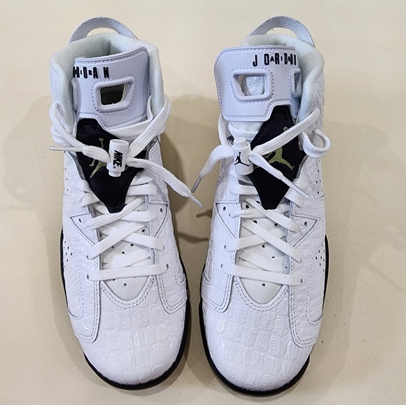 jordan 6 alligator men's